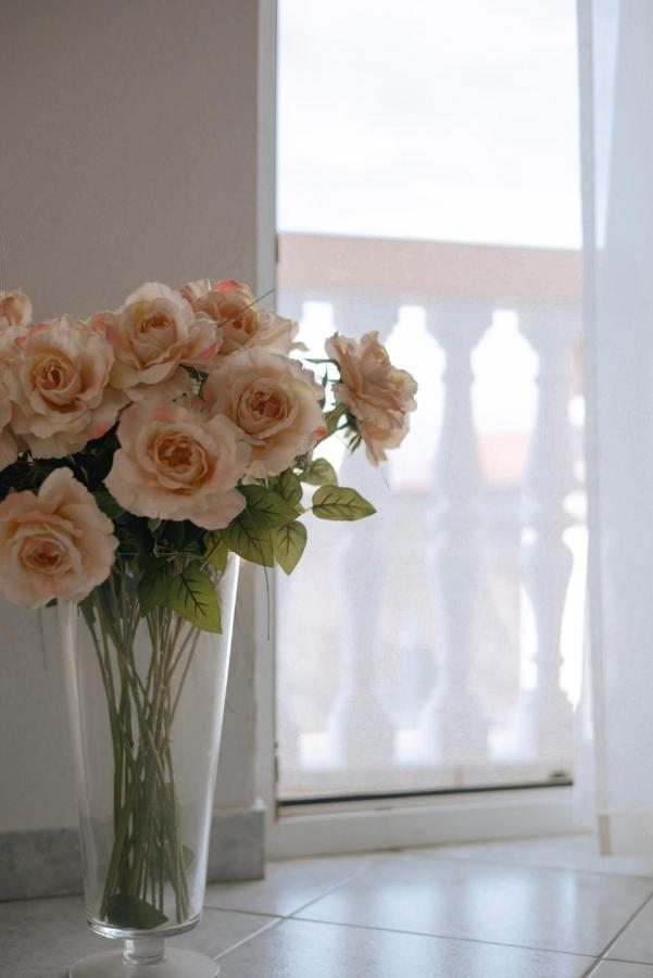 Garden House Vodice Apartment Luaran gambar