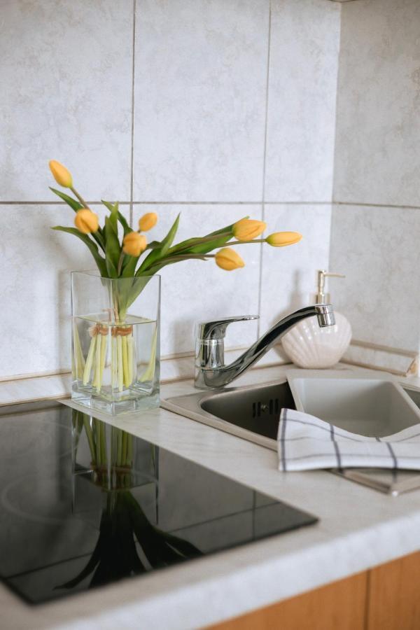 Garden House Vodice Apartment Luaran gambar